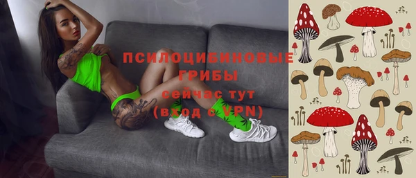 стаф Армянск