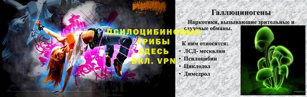 мет Арсеньев