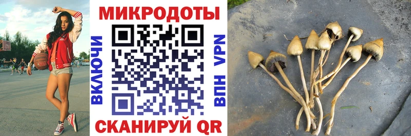Галлюциногенные грибы Magic Shrooms  МЕГА зеркало  Старая Русса  закладка 